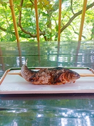 お店の前で甘栗...