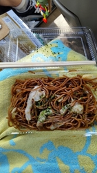那須烏山市で焼...