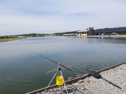 増井養魚場へ「...