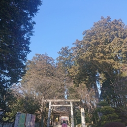 なんとなく行っ...
