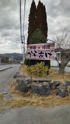 からあげがめち...