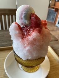 暑くなってきて...