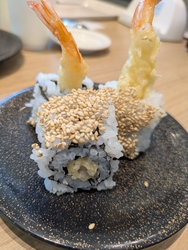 ついに新ブラン...