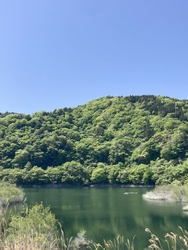 数年ぶりに行き...