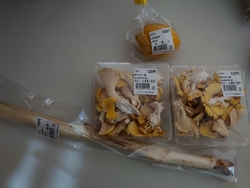 向かい側のお団...