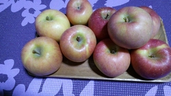 今シーズン２回...