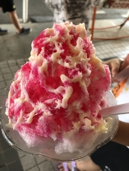 色とりどりのレ...