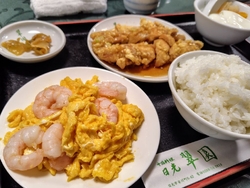 久しぶりに、日...