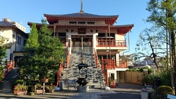 朝の散歩で通り...