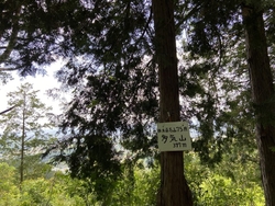 2回目の多気山...