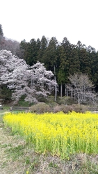 折角初めて見学...
