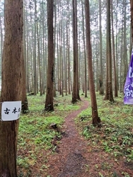 標高206ｍの...