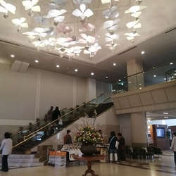 一泊旅行に行っ...