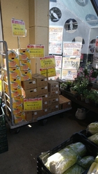 みかんが箱で売...