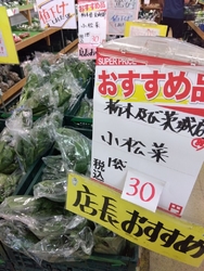 夕方におじゃま...