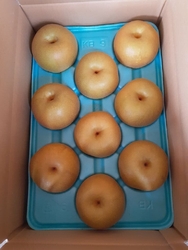 毎年梨を買いに...