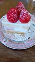 今年の春に久し...
