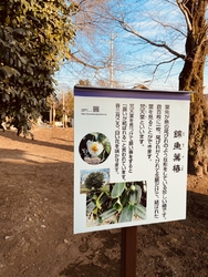 栃ナビ！の花特...