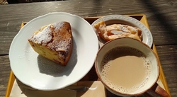 マグカップフェ...