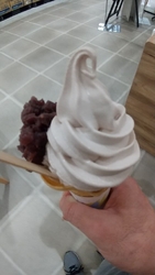 いつも栃ナビク...