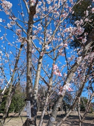 お天気が良かっ...
