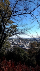 紅葉が見頃.....