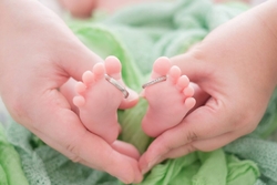 ニューボーンフ...