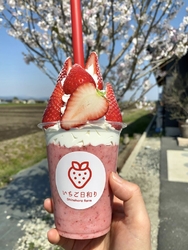 栃ナビのプレゼ...