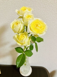 ただ今、我が家...