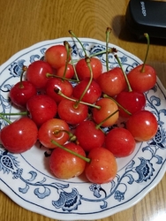 毎年さくらんぼ...