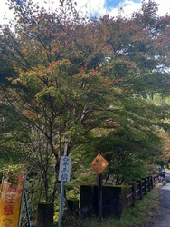 古峯神社からの...