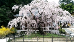 天気は良くなか...