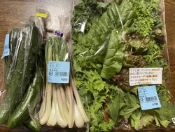 友遊直売所にお...