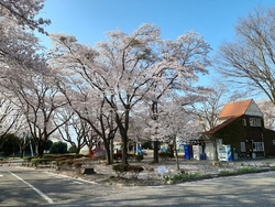 早朝に訪れたの...