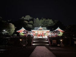 夜景を観に行き...