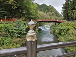 金色に輝くこの...