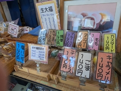 昭和の日のお祭...