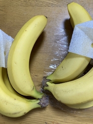 暑くなったので...