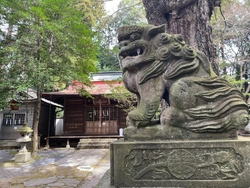 八幡山公園の敷...