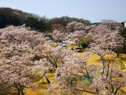 展望台に登って...