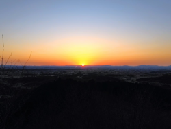 早起きして、多...