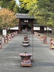 足利灯りまつり...