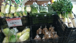 白菜が安く売っ...