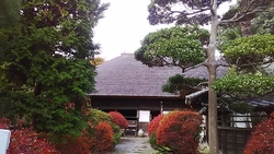 美しい茅葺き屋...