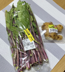 紅菜苔（コウサ...