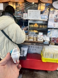 去年からクチコ...