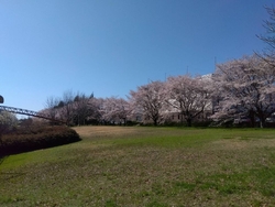 お天気の良い朝...