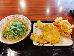 かけうどん（小...