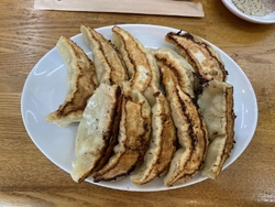 餃子が食べたく...