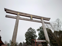 昨年に引き続き...